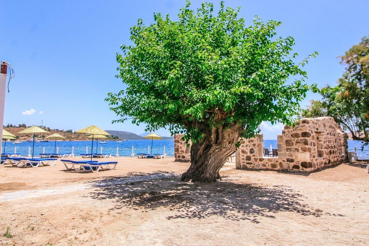 Club Muskebi Hotel Bodrum Eksteriør billede