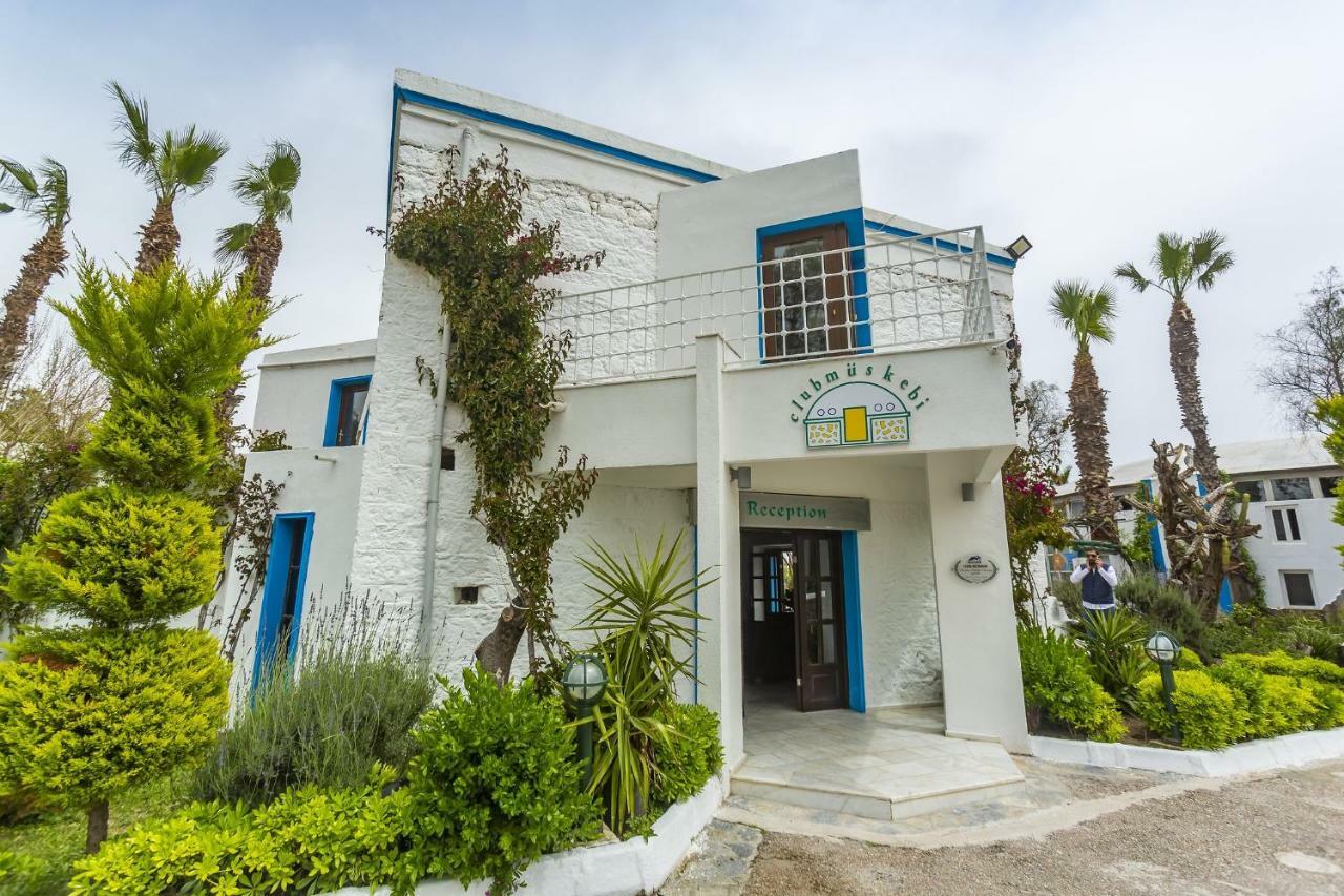 Club Muskebi Hotel Bodrum Eksteriør billede