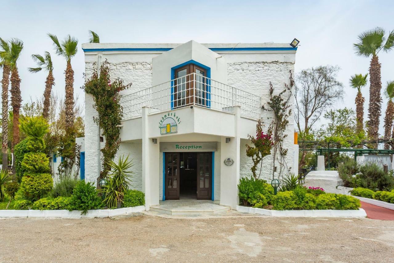 Club Muskebi Hotel Bodrum Eksteriør billede